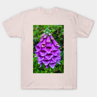 Purple Foxglove T-Shirt